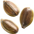 Hemp seed